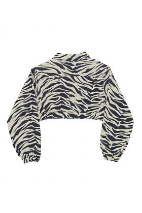 zebra print set